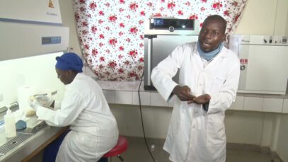 BACTERIOSE DU MANGUIER ET DE L’ANACARDIER