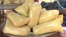 PRODUCTION DU MANIOC