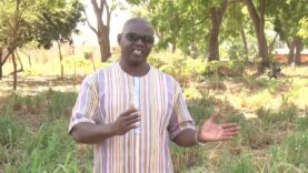 PRODUCTION FOURRAGERE